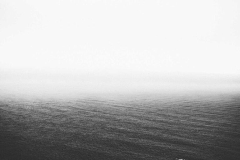 e02f1419-bd29-32bc-8936-aa9c4b96e2ca